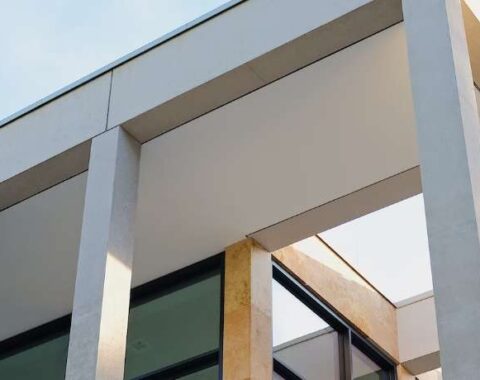 masterstudy_placeholder